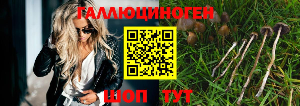 Галлюциногенные грибы ЛСД Гурьевск